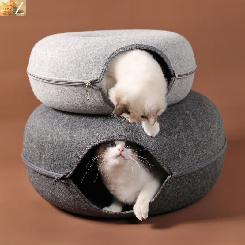 Zen Cat Donut Tunnel